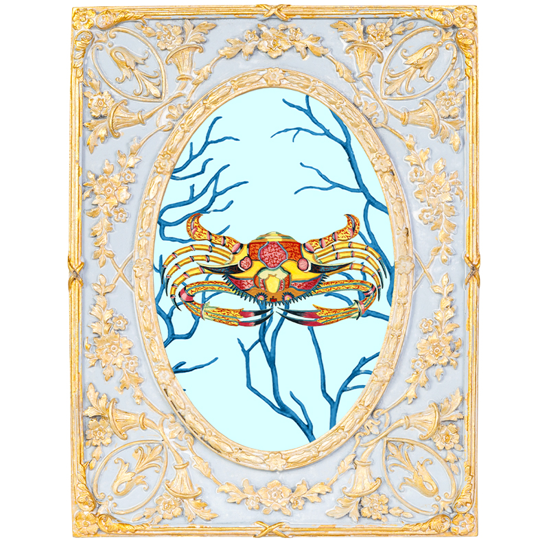 Картина в раме с золотым орнаментом Seashell Still Life 2 Мульти Золотой Голубой Картина в раме с золотым орнаментом Seashell Still Life 2 Мульти Золотой Голубой в Краснодаре | Loft Concept