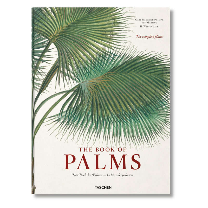 Книга The Book of Palms  в Краснодаре | Loft Concept 