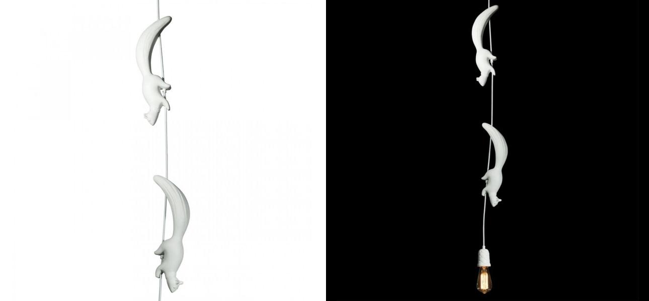 Подвесной светильник Белки karman Sherwood e robin White - фото №2