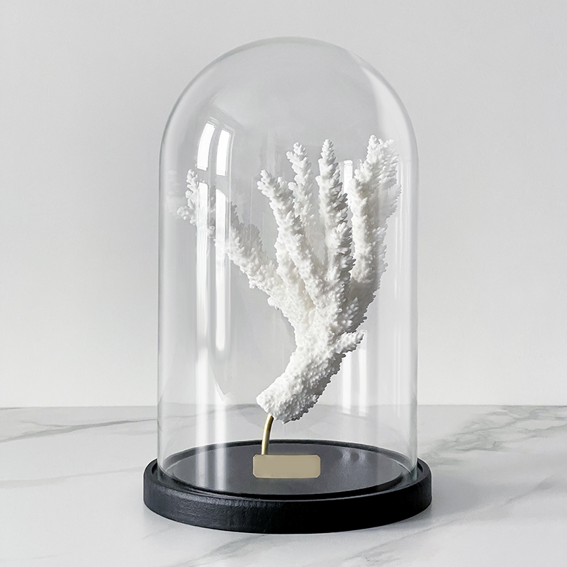 Статуэтка Natural Coral Branch Glass Cloche  в Краснодаре | Loft Concept 