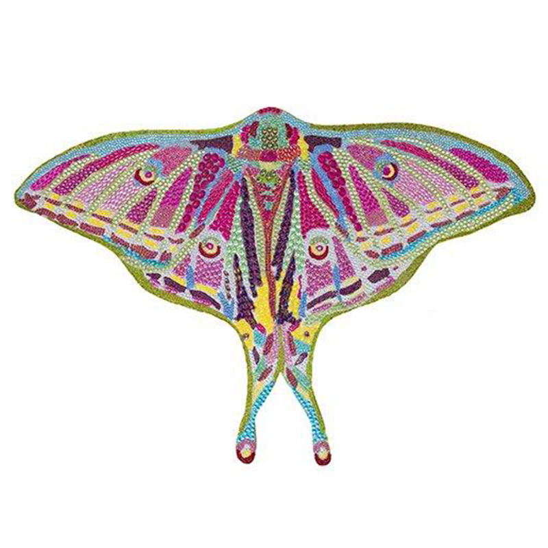 Картина “Spanish Moon Moth Butterfly Cut Out” Мульти в Краснодаре | Loft Concept 