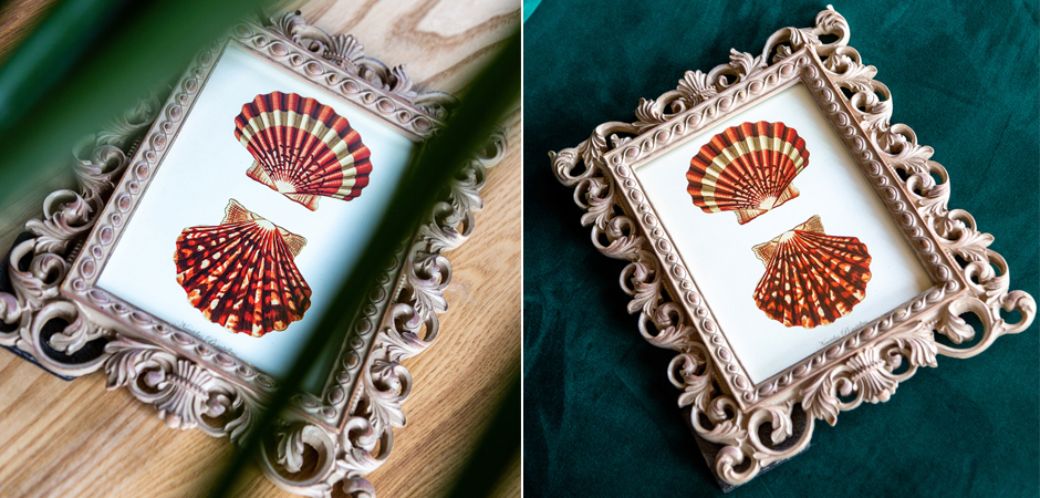 Постер Red Scallop Poster - Loft-Concept в Краснодаре