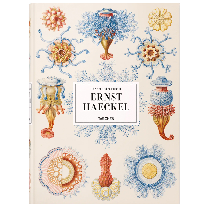 The Art and Science of Ernst Haeckel XXL  в Краснодаре | Loft Concept 