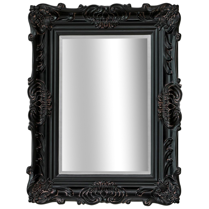 Зеркало Aryan Provence Mirror Black Черный Коричневый в Краснодаре | Loft Concept 