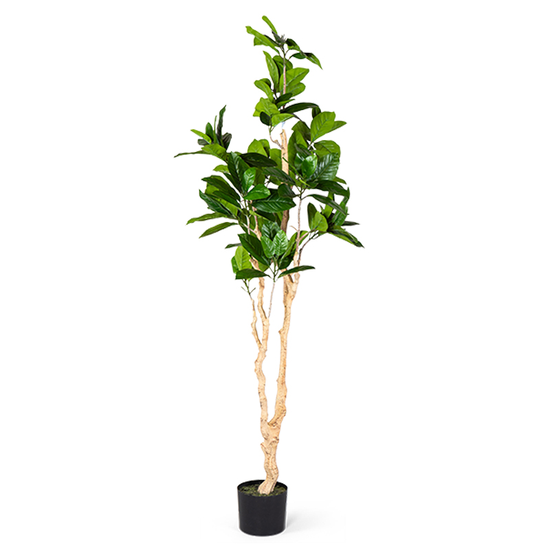 Декоративный искусственный цветок Decorative Tree h187 Зеленый в Краснодаре | Loft Concept 