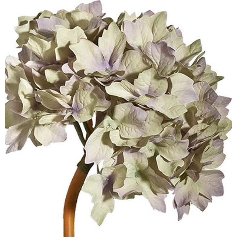 Декоративный искусственное растение Beige hydrangea Черный Бежевый Коричневый в Краснодаре | Loft Concept 