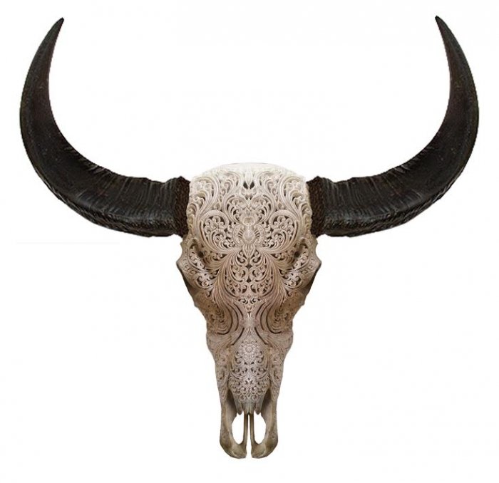 Череп буйвола с резьбой Buffalo Skull Tribal Carving Белый в Краснодаре | Loft Concept 