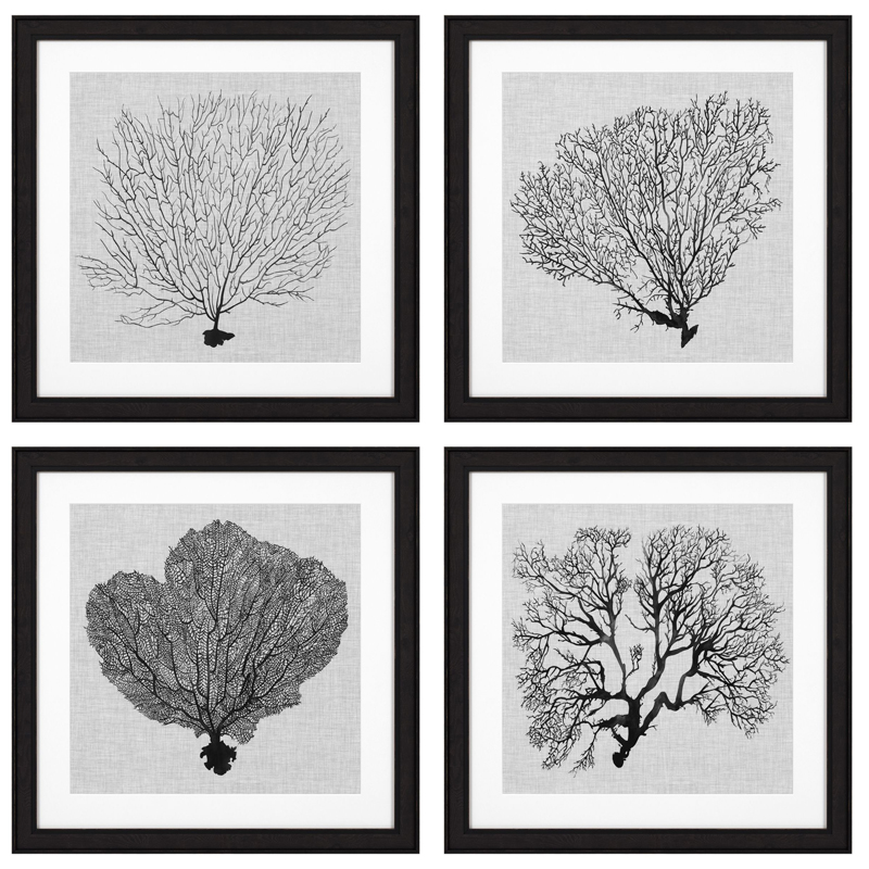 Комплект постеров Eichholtz Prints Shadow Sea Fans set of 4 Черный Черно-белый в Краснодаре | Loft Concept 