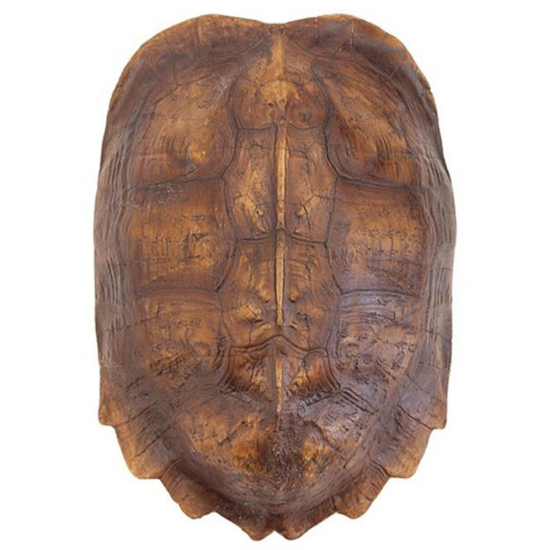 Аксессуар Turtle Shell Natural Light Brown Коричневый в Краснодаре | Loft Concept 