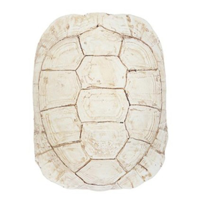 Аксессуар Turtle Shell White Бежевый в Краснодаре | Loft Concept 