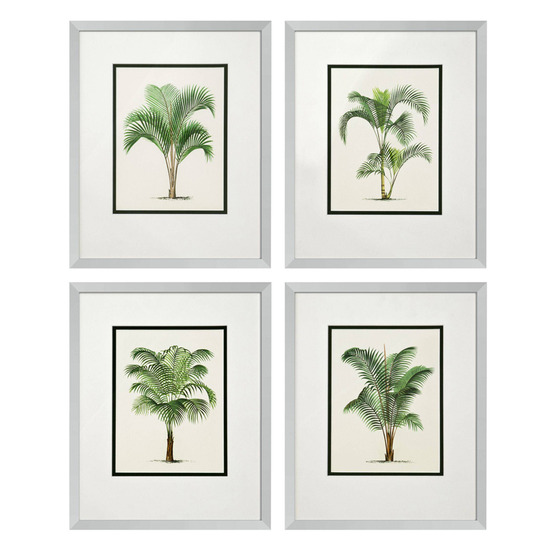 Комплект постеров Eichholtz Prints Palms set of 4 Белый Зеленый Серебряный в Краснодаре | Loft Concept 