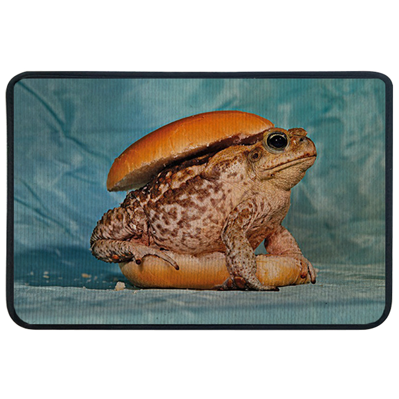 Ковер для прихожей и ванной Seletti Toad Rug Мульти Голубой в Краснодаре | Loft Concept 