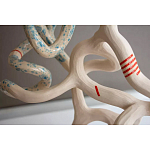 Скульптура «Papañca» варинант исполнения - 3 | Loft Concept в Краснодаре