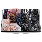 Книга подарочная Смелый бразильский стиль Сиг Бергамина Assouline Maximalism by Sig Bergamin варинант исполнения - 9 | Loft Concept в Краснодаре