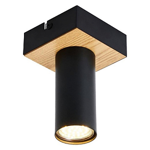 Потолочный светильник GAVIN WOOD