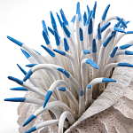 Статуэтка тропический фрукт Tropical Fruit White Blue варинант исполнения - 1 | Loft Concept в Краснодаре