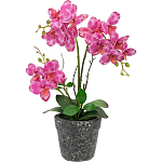 Декоративный искусственное растение Pink orchid варинант исполнения - 1 | Loft Concept в Краснодаре