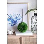 Декоративный искусственное растение Round boxwood варинант исполнения - 4 | Loft Concept в Краснодаре