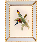 Постер с изображением птиц и цветов в зеркальной раме Blooming Birds Poster варинант исполнения - 4 | Loft Concept в Краснодаре