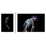 Монография художника Tavares Strachan - There is Light Somewhere варинант исполнения - 6 | Loft Concept в Краснодаре