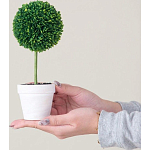 Декоративный искусственное растение Boxwood One варинант исполнения - 6 | Loft Concept в Краснодаре