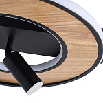 Потолочный светильник круглый GAVIN WOOD варинант исполнения - 2 | Loft Concept в Краснодаре