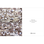 Книга Maison Lesage: Haute Couture Embroidery Mauries Patrick варинант исполнения - 11 | Loft Concept в Краснодаре