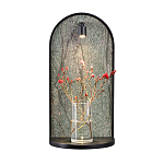 Настенный светильник зеленого цвета с черной рамкой овальной формы с полкой Herbarium  варинант исполнения - 6 | Loft Concept в Краснодаре