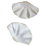 Фигурка из фарфора в виде одной створки ракушки Marine Tridacna варинант исполнения - 3 | Loft Concept в Краснодаре