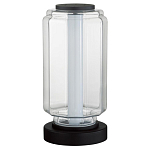 Настольная лампа с прозрачным плафоном Jarrty варинант исполнения - 1 | Loft Concept в Краснодаре