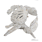 Статуэтка краб с детализированной текстурой в белом цвете Marine Accessories варинант исполнения - 4 | Loft Concept в Краснодаре