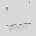 Люстра подвесная с пятью прозрачными элементами в форме лепестков и золотистым металлическим основанием DALI Tonin Casa варинант исполнения - 2 | Loft Concept в Краснодаре