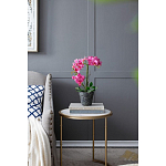 Декоративный искусственное растение Pink orchid варинант исполнения - 8 | Loft Concept в Краснодаре