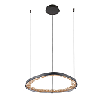 Люстра светодиодная  Iris варинант исполнения - 2 | Loft Concept в Краснодаре