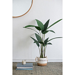 Декоративный искусственное растение Decor Stile  варинант исполнения - 7 | Loft Concept в Краснодаре