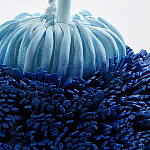 Статуэтка Синий тропический фрукт Tropical Fruit Pandora 1 варинант исполнения - 4 | Loft Concept в Краснодаре