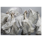 Alexander McQueen: Savage Beauty варинант исполнения - 2 | Loft Concept в Краснодаре