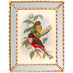Постер с изображением птиц и цветов в зеркальной раме Blooming Birds Poster варинант исполнения - 7 | Loft Concept в Краснодаре