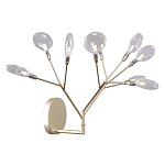 Бра в виде ветвей с прозрачными круглыми плафонами Moooi варинант исполнения - 1 | Loft Concept в Краснодаре