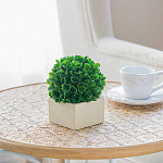 Декоративный искусственное растение Square boxwood варинант исполнения - 6 | Loft Concept в Краснодаре