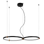 Люстра подвесная светодиодная черный металл Ring Horizontal варинант исполнения - 9 | Loft Concept в Краснодаре