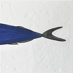 Плитка с узором Рыба пловчиха варинант исполнения - 6 | Loft Concept в Краснодаре