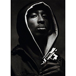 Подарочная книга величайший фотограф Альберт Уотсон The Vienna album Albert Watson варинант исполнения - 2 | Loft Concept в Краснодаре