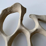 Блюдо «Бежевый коралл» варинант исполнения - 3 | Loft Concept в Краснодаре