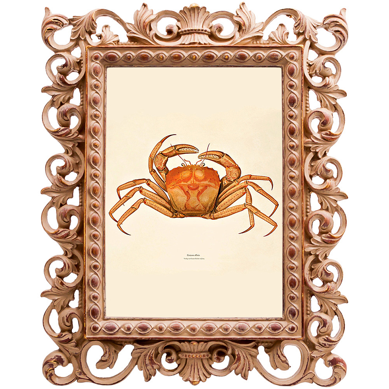 Постер Ocher Crab Poster Бежевый Оранжевый в Краснодаре | Loft Concept 