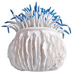 Статуэтка тропический фрукт Tropical Fruit White Blue варинант исполнения - 3 | Loft Concept в Краснодаре