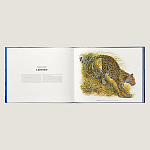 Лимитированная подарочная книга HERMES Fierce and Fragile book, English version варинант исполнения - 3 | Loft Concept в Краснодаре