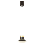 Подвесной светильник Celevis Black варинант исполнения - 2 | Loft Concept в Краснодаре