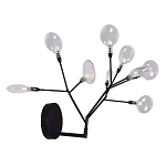 Бра в виде ветвей с прозрачными круглыми плафонами Moooi варинант исполнения - 2 | Loft Concept в Краснодаре