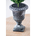 Декоративный искусственное растение Double boxwood варинант исполнения - 7 | Loft Concept в Краснодаре